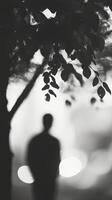 A man is silhouetted against the tree photo