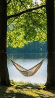 A hammock is hanging between two trees near a lake photo