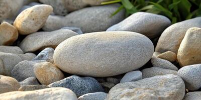 Smooth rounded river rocks of varying sizes are displayed closely photo