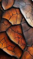 Textured brown leather scales creating an abstract dragon skin pattern photo