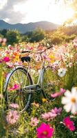 A bicycle is parked in a field of flowers photo