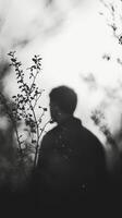 A silhouette of a person standing in front of a tree photo