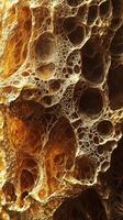 Abstract close up showcases a porous textured structure illuminated beautifully photo