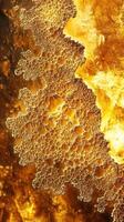 Golden beer foam texture in a close up view photo