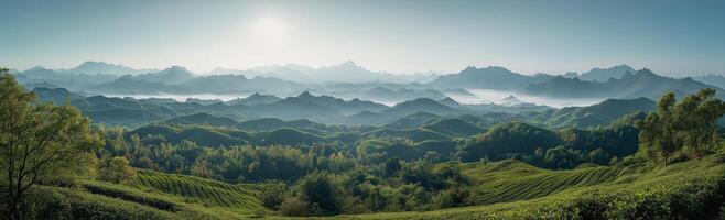 Lush green hills and misty mountains in a serene landscape at dawn photo