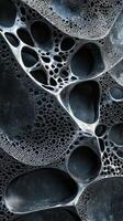 Intricate organic structures and cavernous voids form an abstract design photo