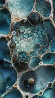 Blue and brown cell like abstract structure is presented photo