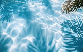 Water reflections with palm shadows under bright sunlight in a serene pool setting photo