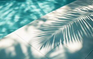 Shadows of palm leaves on a bright poolside during a sunny afternoon by the water photo
