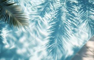 Palm leaves casting shadows on a shimmering pool's surface during a sunny afternoon photo