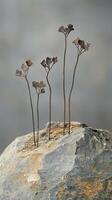 Metal flower sculptures are growing out of a grey rock photo