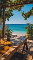 A wooden table under a tree photo