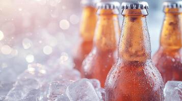 Beer bottles in ice photo