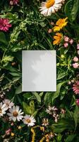 Blank card in a field of flowers photo