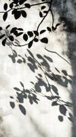 Shadow of leaves on a wall photo