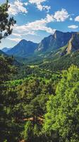 The mountains are surrounded by trees and green grass photo