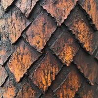 Close up of overlapping rustic orange and black textured scales photo