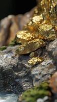 Shiny gold nuggets are scattered on a dark gray rock photo