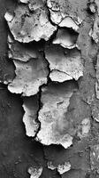 A monochromatic image depicts cracked and peeling layers of paint photo
