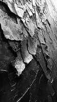 Abstract art showcases texture and contrast in black and silver photo