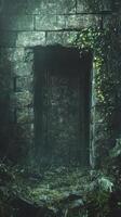 Weathered stone doorway partially obscured by vegetation in dim light photo