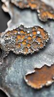 Close up of textured metalwork with orange and silver hues photo