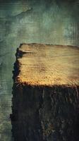 Cut tree trunk section with bark against textured backdrop photo
