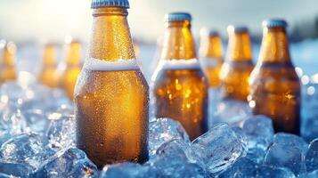 Beer bottles in ice photo