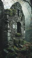 Moss covered stone ruin in the mist of a forest photo