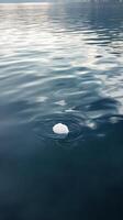 Iceberg floating in the water on a calm lake photo