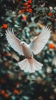 White dove flying over flowers photo