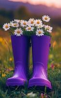 A pair of purple rain boots with daisies in the grass photo