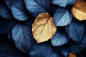 A close up of blue and gold leaves photo