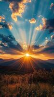 The sun is setting over a field with flowers photo