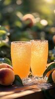 Two glasses of orange juice on a table photo