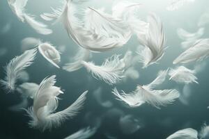 White feathers floating in the air on a dark background photo