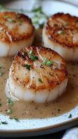 Three scallops on a white plate with gravy photo