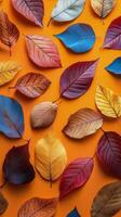 Colorful autumn leaves arranged artistically on a vibrant orange background for seasonal decor photo