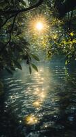 Sunlight filters through trees illuminating a tranquil forest lake at dawn photo