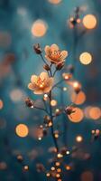A single flower with lights in the background photo