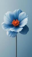 Stunning blue flower with orange center against a soft blue background photo