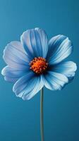 Elegant blue flower with vibrant orange center against a simple background photo