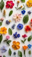 Colorful arrangement of various flowers and leaves on a white background during spring season photo