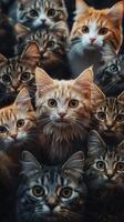 Feline gathering of curious cats with striking eyes in a cozy setting photo