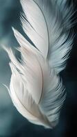 Soft white feathers floating gracefully against a muted blue background photo