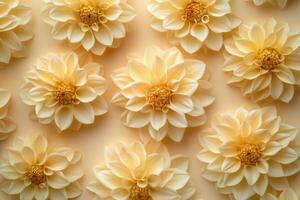 Beautiful cream flowers arranged in a delicate pattern on a soft background photo