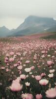 Vast field of blooming flowers under a cloudy sky in a mountainous landscape photo