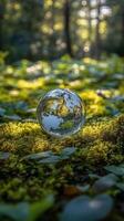 A glass globe sitting on the ground in a forest photo
