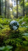 Earth globe in the forest photo