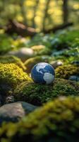 Earth globe in the forest photo